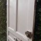 Old solid wood entrance door H225xW86cm right-hand push