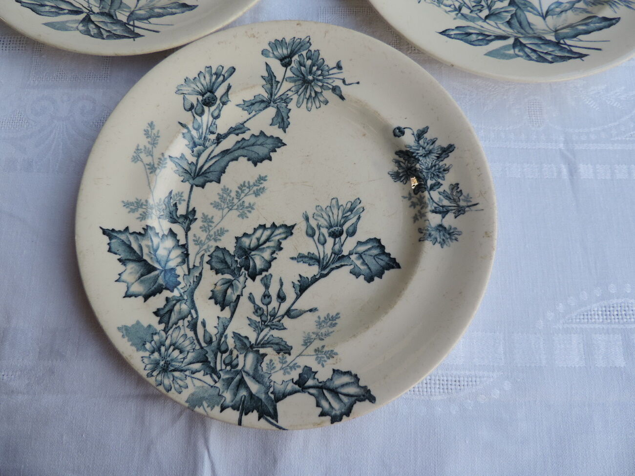Lot de dix assiettes en Longwy , décor Botanique