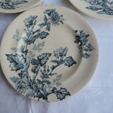Set of ten plates in Longwy, botanical décor
