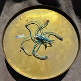 Minimalist 60s brass wall light with 5 sockets Beisl Leuchte, Germany