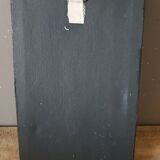 Naturalized scorpion frame under glass 1970