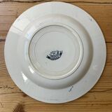 Set of 5 antique deep plates "Terre de Fer"