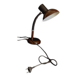 Flexible lamp