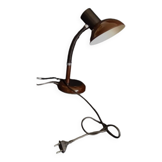 Flexible lamp
