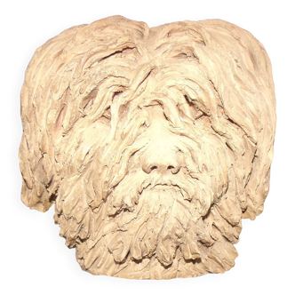 Terracotta dog head