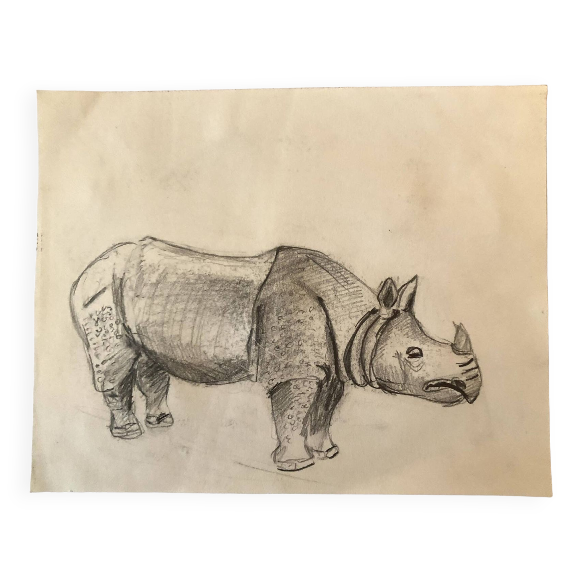 Rhinoceros Drawing