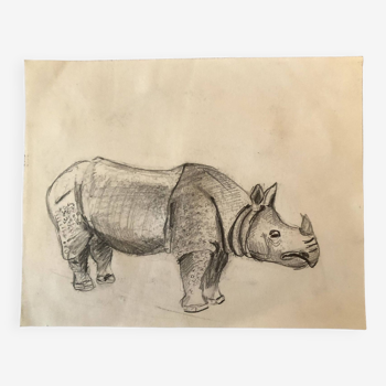 Rhinoceros Drawing