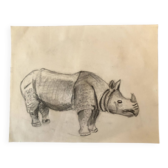 Dessin Rhinocéros