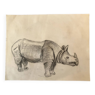 Rhinoceros Drawing