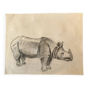 Rhinoceros Drawing