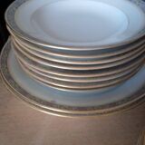 Table service 83 pieces Lions of faience Limoges