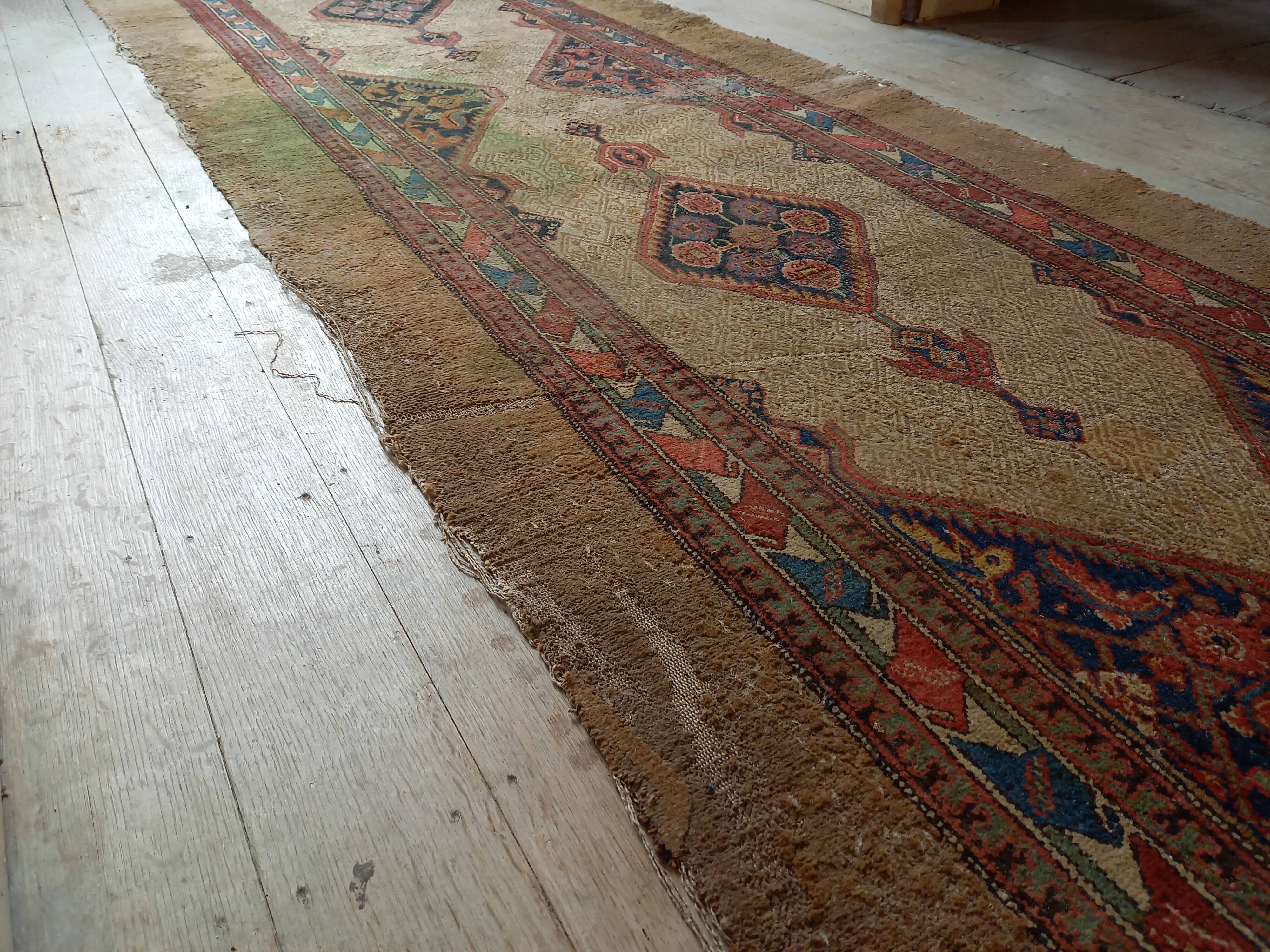 Tapis 'couloir d'orient'
