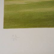 Pierre Bazire : Paysage en Normandie, lithographie originale signée