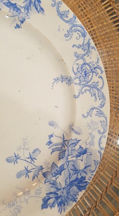 Plate in Iron Earth model Campanula