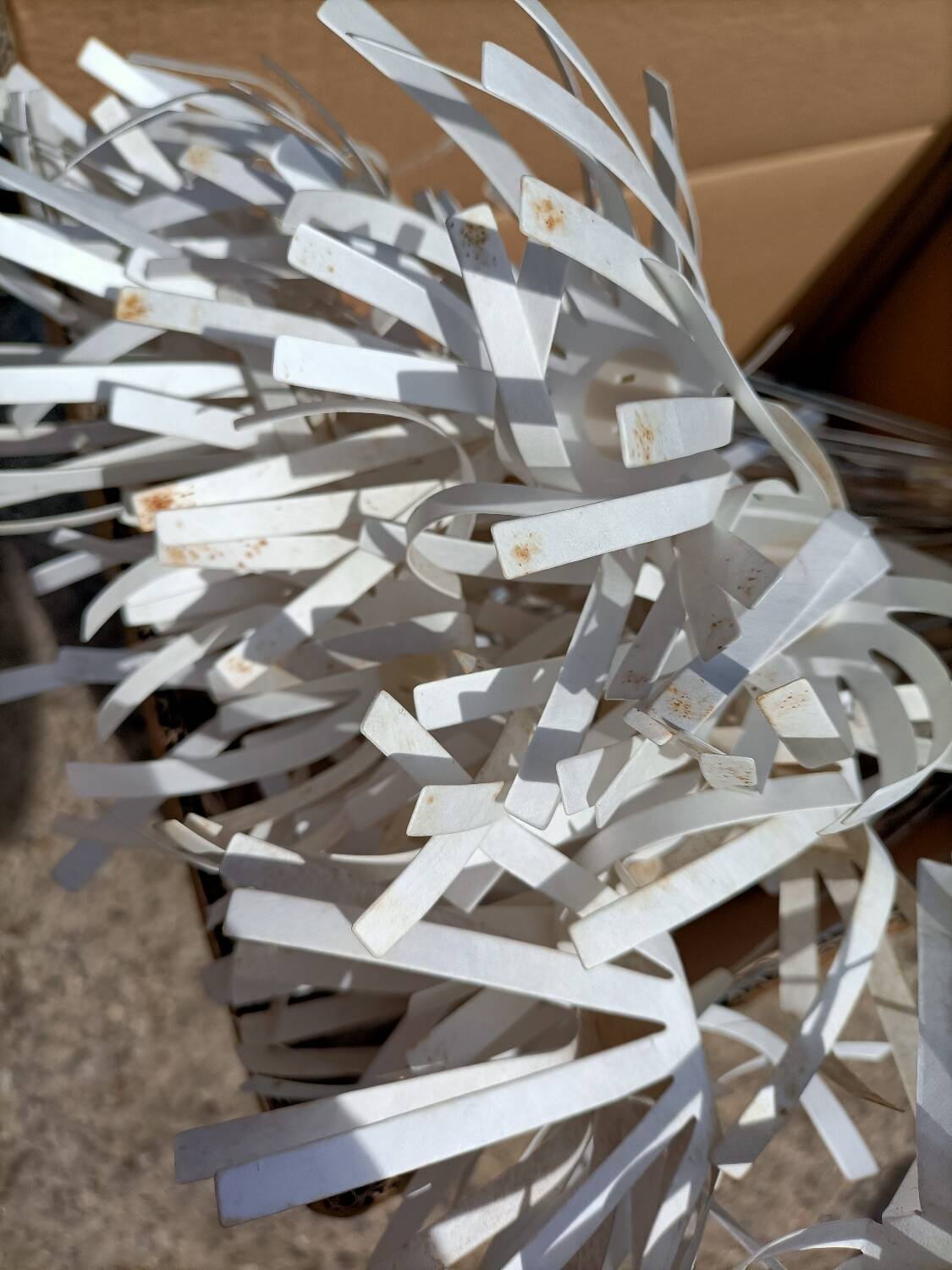 Dandelion pendant light