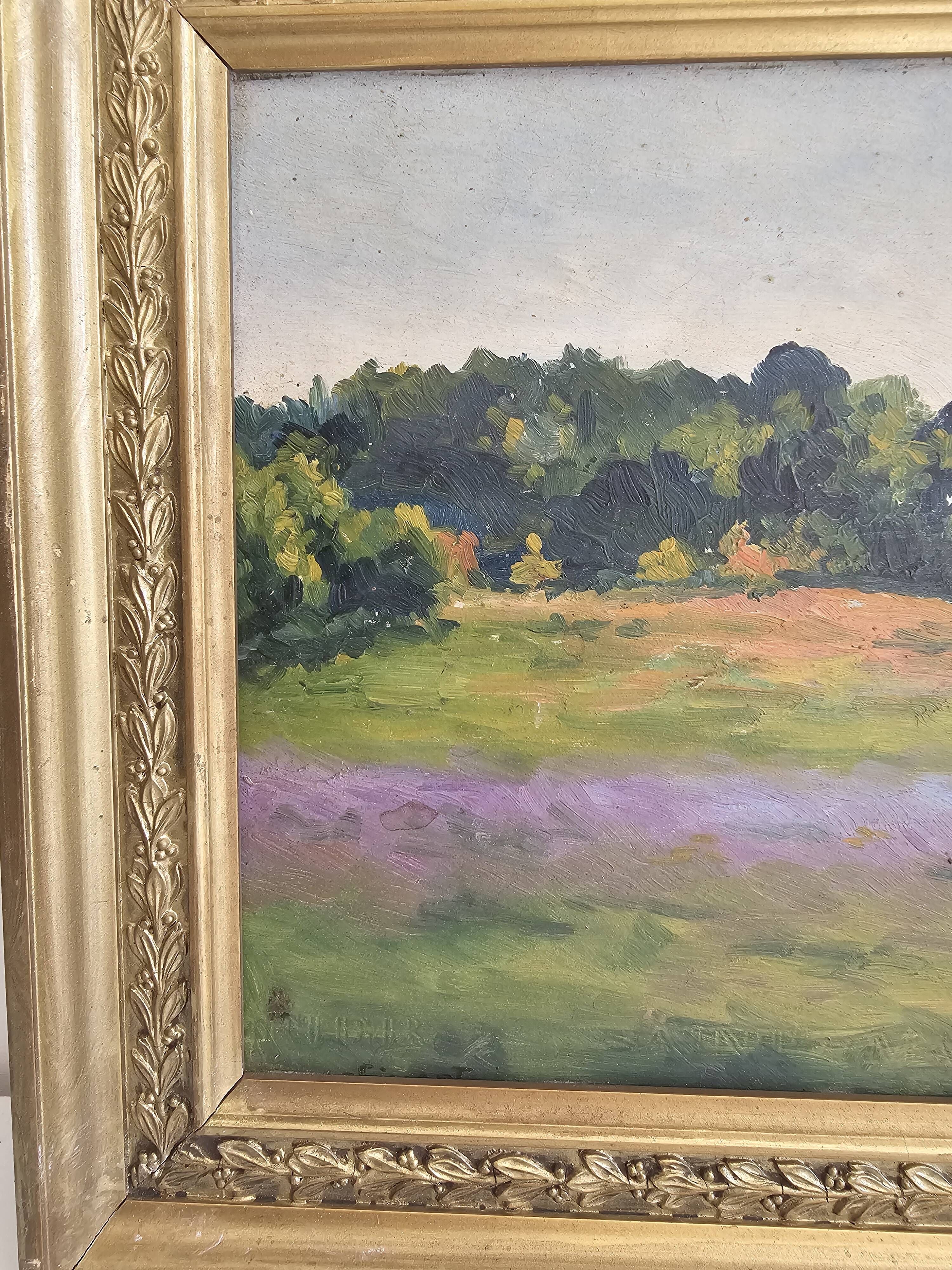 Oil Painting on Cardboard - Landscape of Flowering Hills - Not Signed