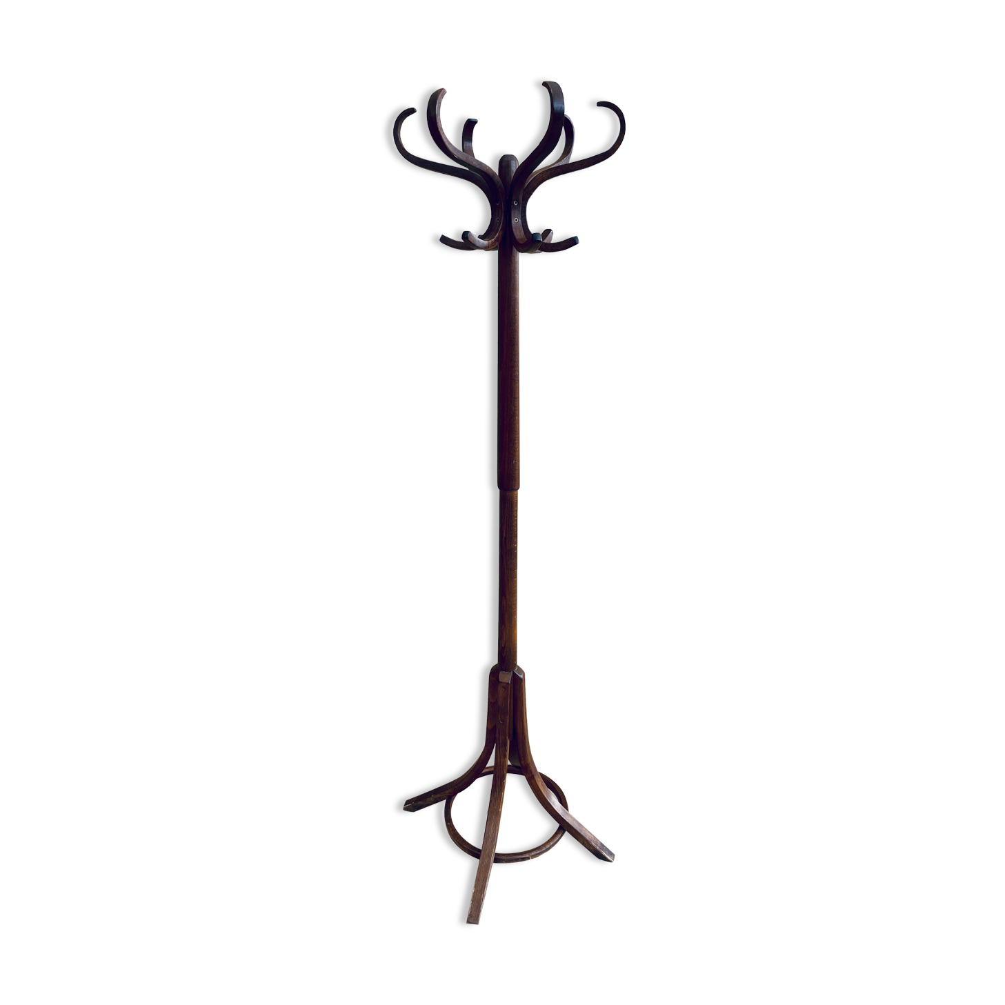 Baumann parrot coat rack