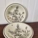 Set of 2 Grindley English ceramic plates.