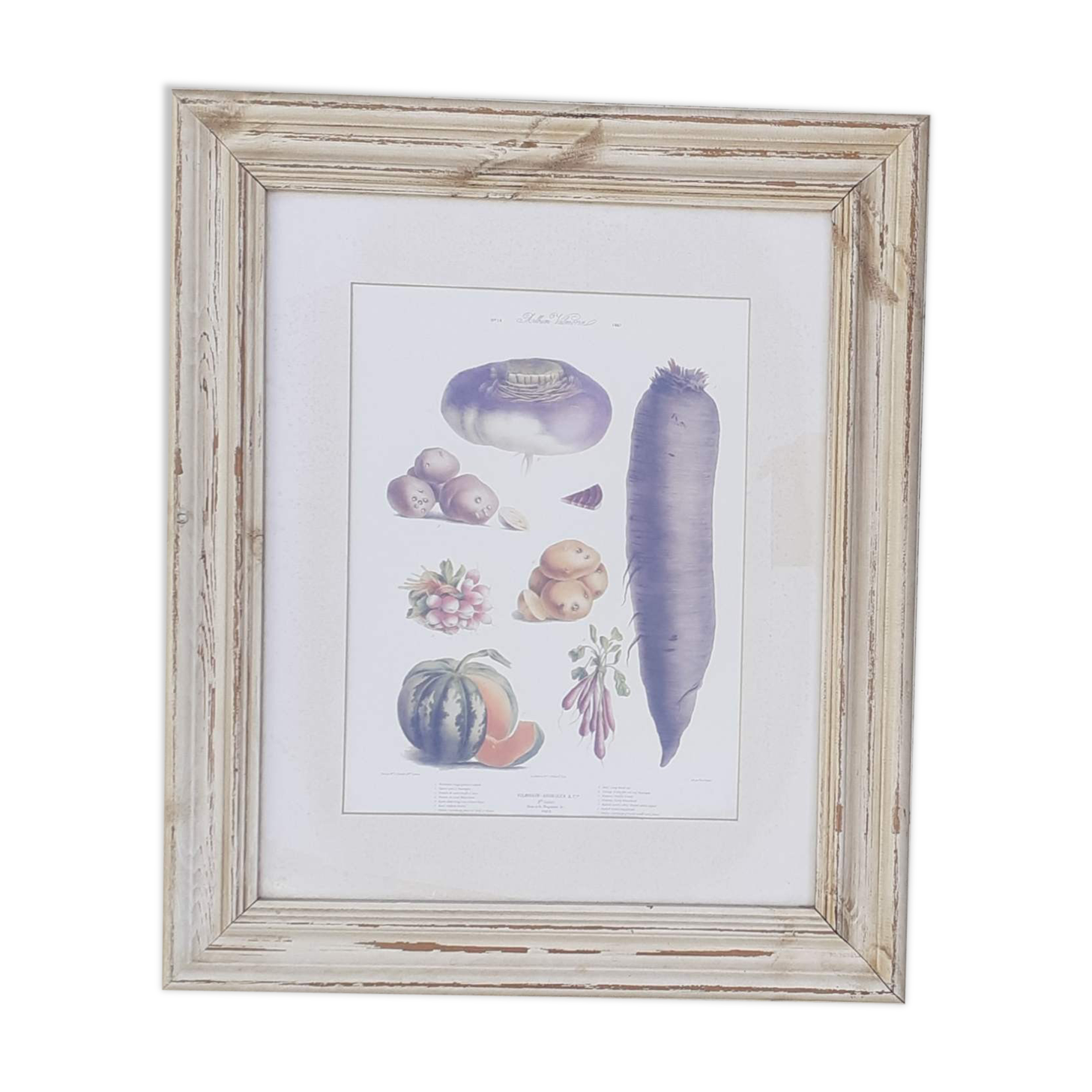 Framed botanical plank, vegetables