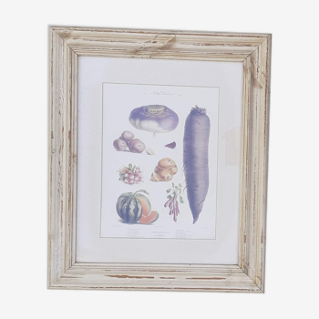 Framed botanical plank, vegetables