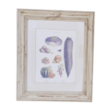 Framed botanical plank, vegetables