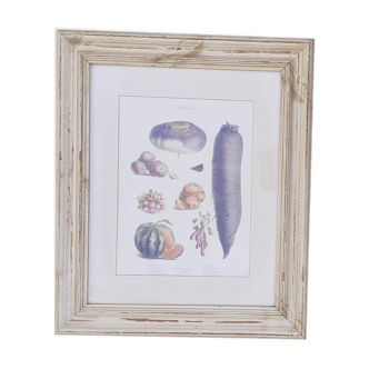 Framed botanical plank, vegetables