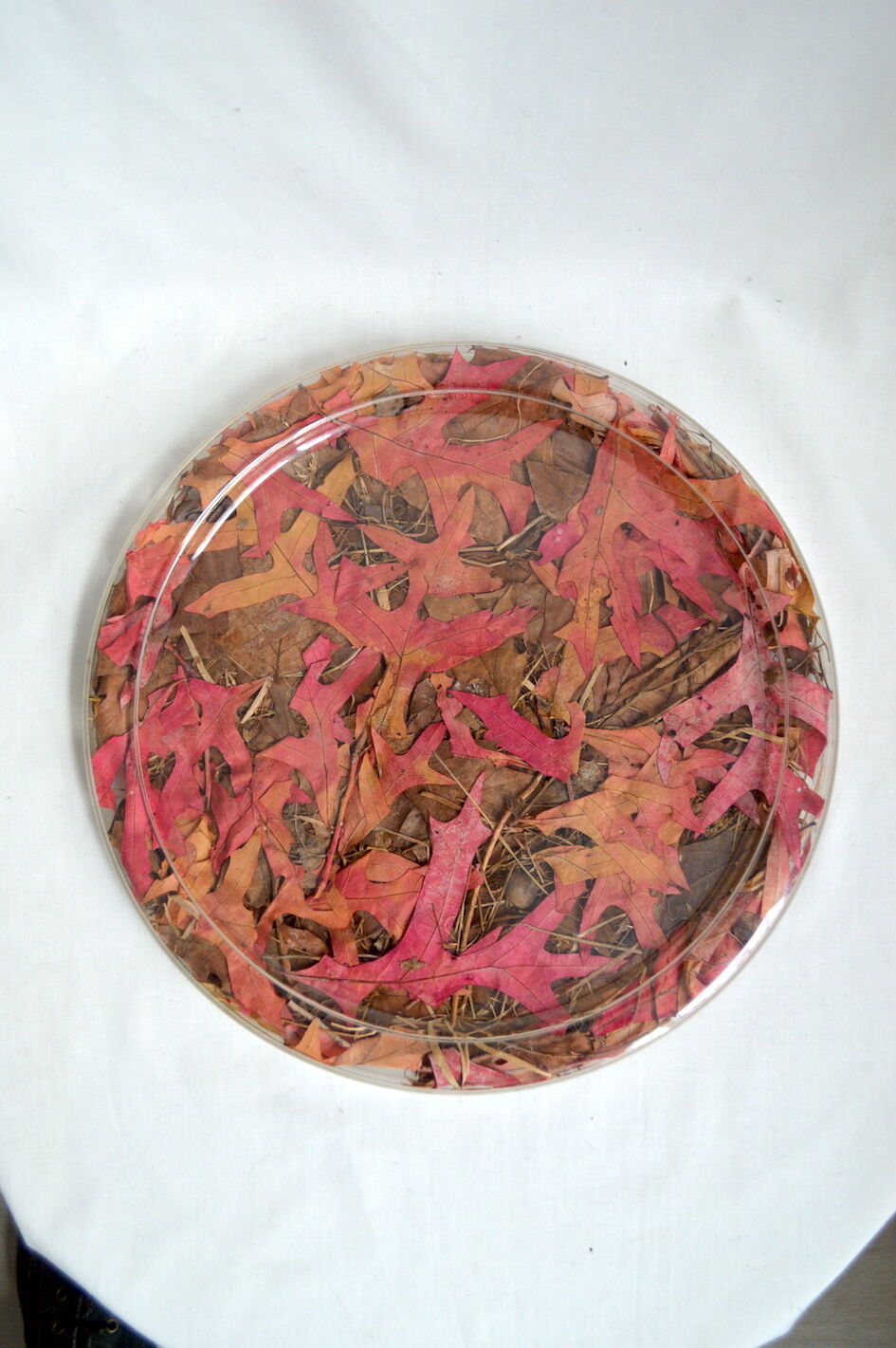 Plateau Christian Dior