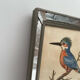 Antique engraving of bird naturalist, by Georges Edwards.