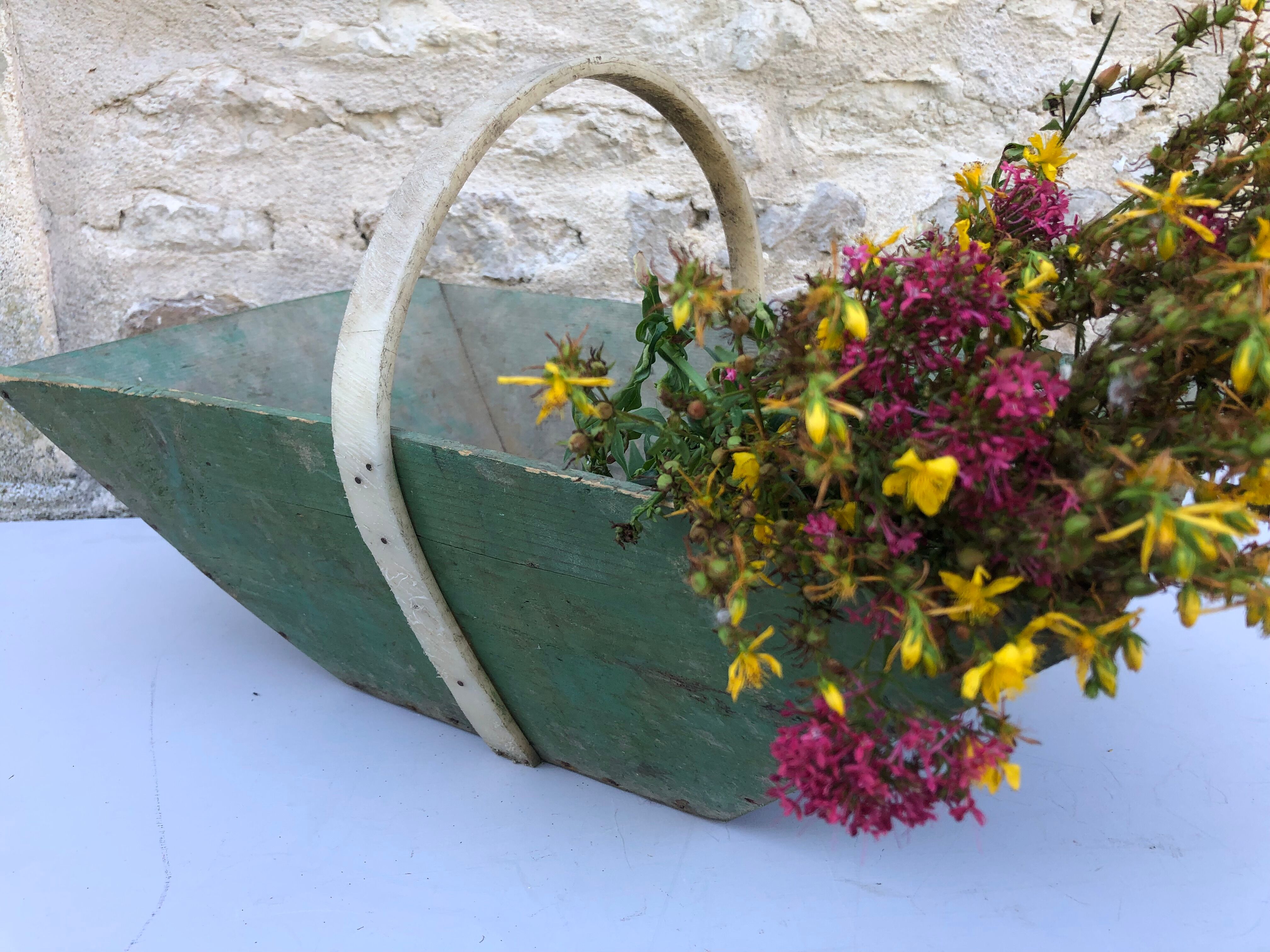 Garden basket, harvest basket