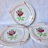 Ceranor Saint-Amand Plate Series