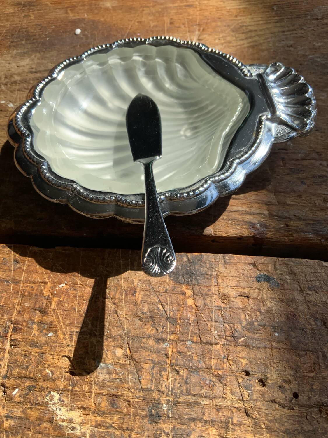Shell butter dish