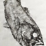 Gyotaku original de bar