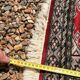 Carpet Pakistan Afghanistan Bokhara Balouch Entrance