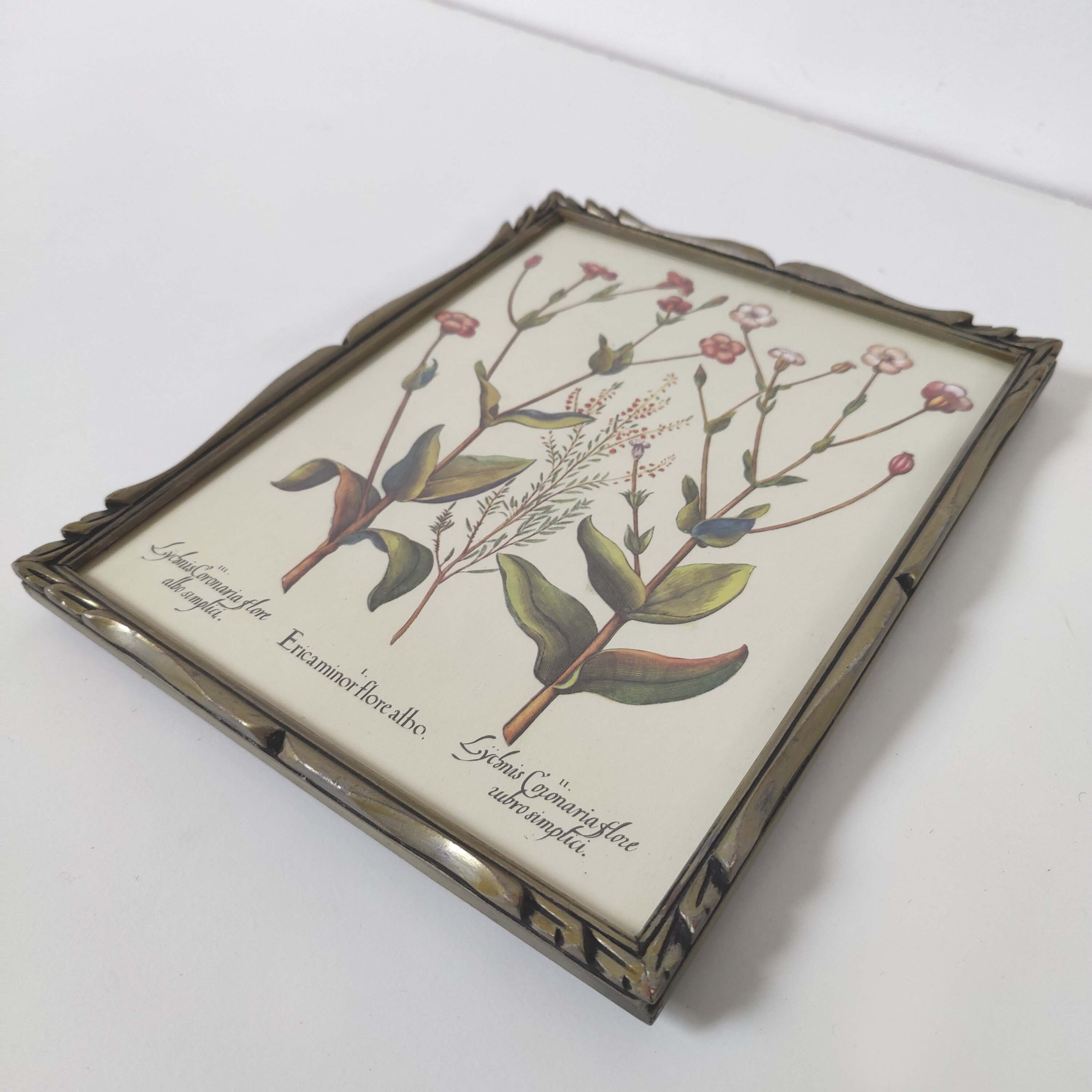 Botanical board wildflowers frame wood to pose