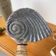 Shell-shaped ceramic catchall.