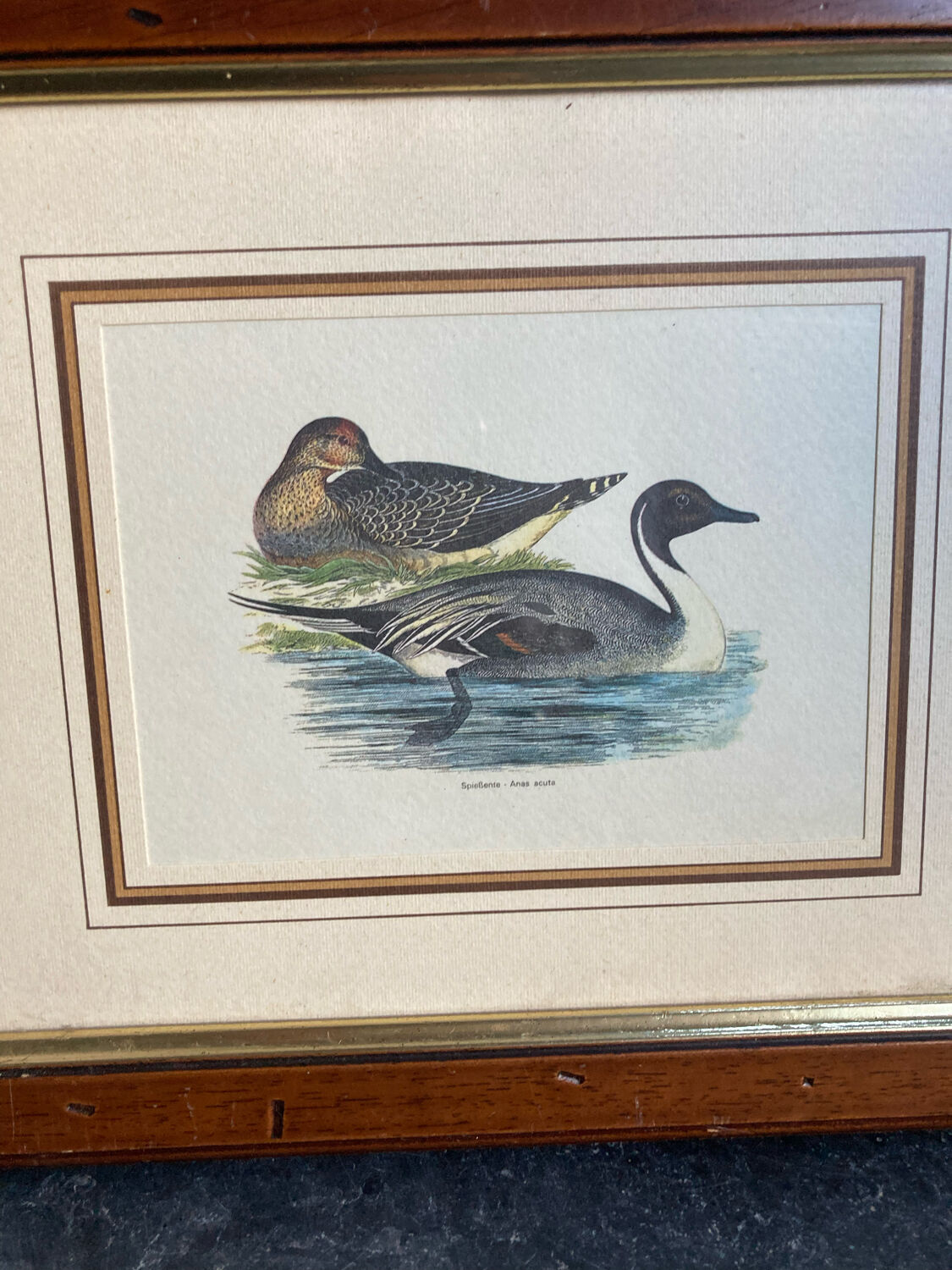 Old painting ducks