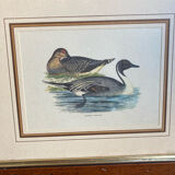 Old painting ducks
