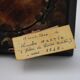 Miniature by p martin young child charles martin 1836 blackened frame