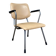 R5 Gispen armchair, 1950s, Netherlands
