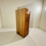 Vintage curtain wardrobe / archive cabinet with file supports