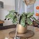 Eileen Gray lamp for Jumo, 1950s-60s