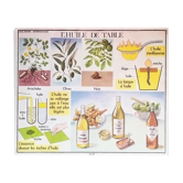 Displays educational Editions Nightingale 90 x 75