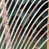 Rattan armchair