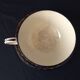 Tasse a the cup with its earthenware sub-cup of gien renaissance model