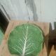 Vintage cabbage slipware plate