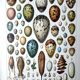 Egg board poster 40s