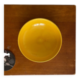 Jean Roger pocket emptier