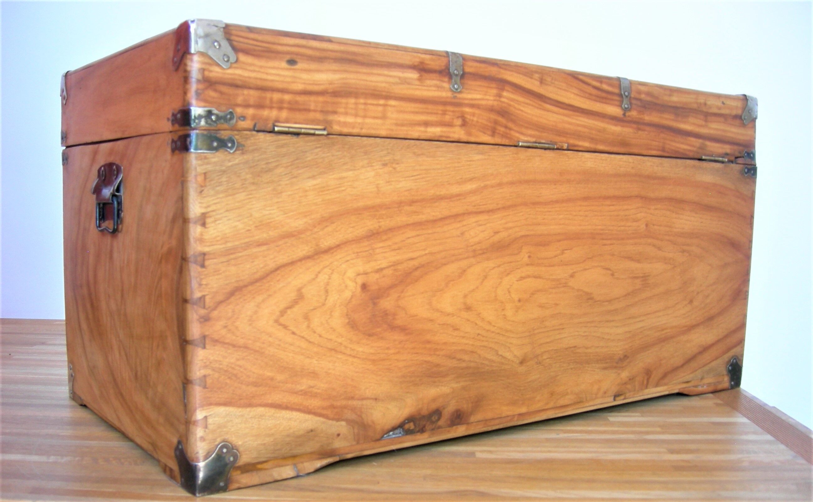 Trunk of camphor from the 19 th marine