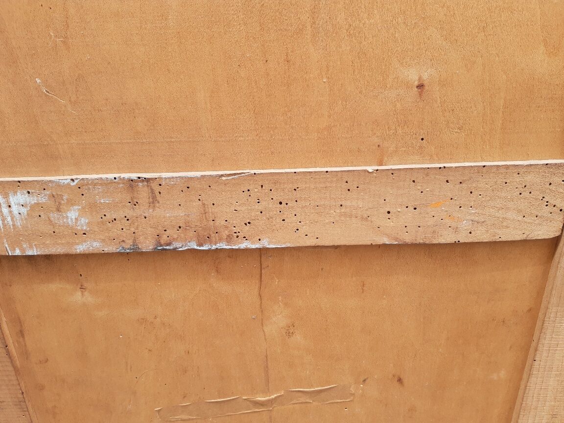 René Gabriel wardrobe