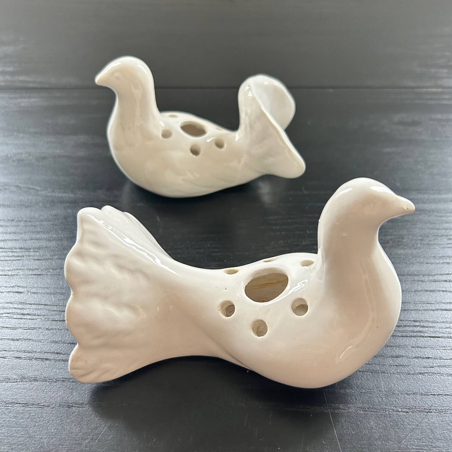 Duo of doves pecking flowers